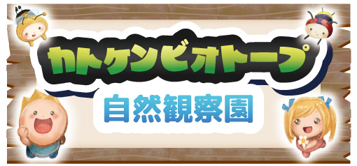 カトケンビオトープ自然観察園