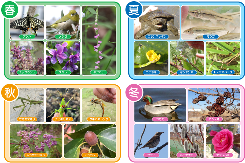 四季を通して出会える生き物たち