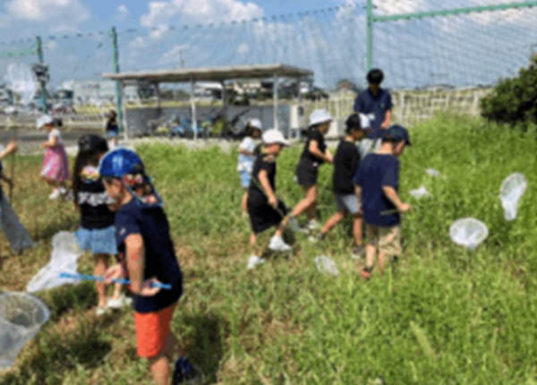 草原での虫取り体験