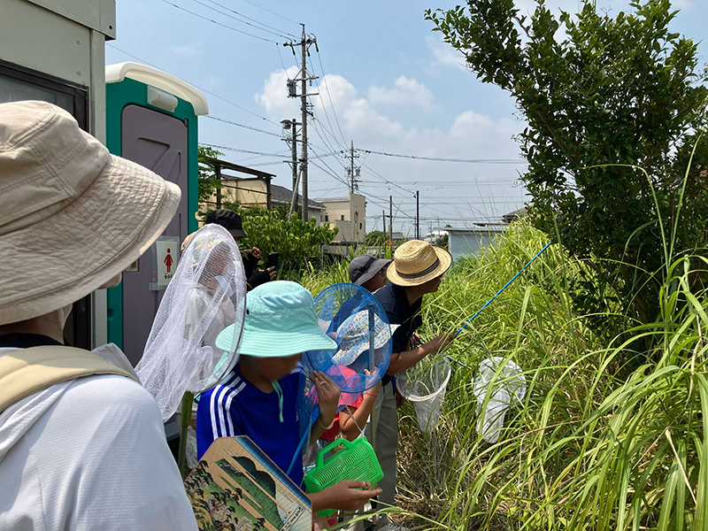 虫取り網を片手に昆虫採集