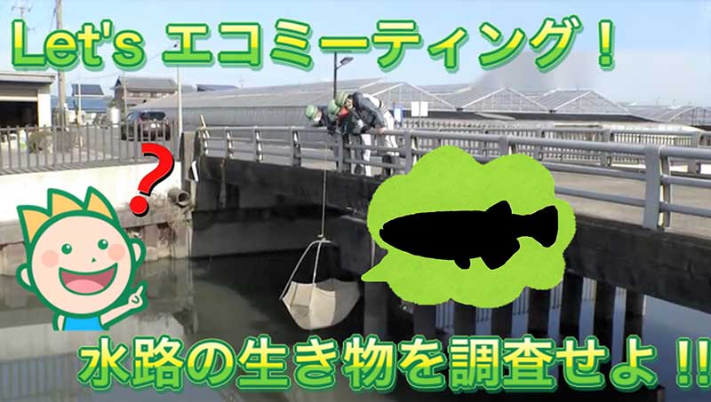 Let's エコミーティング！水路の生き物を調査せよ!!