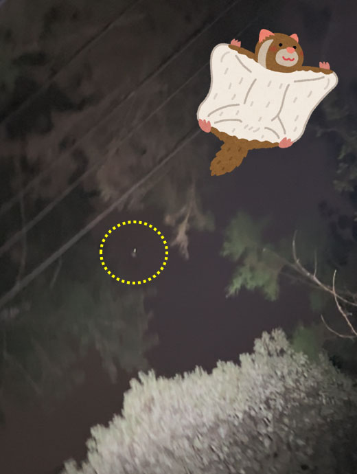 19