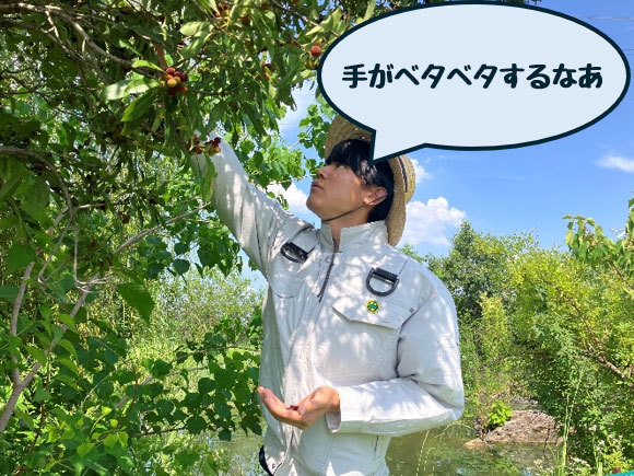03