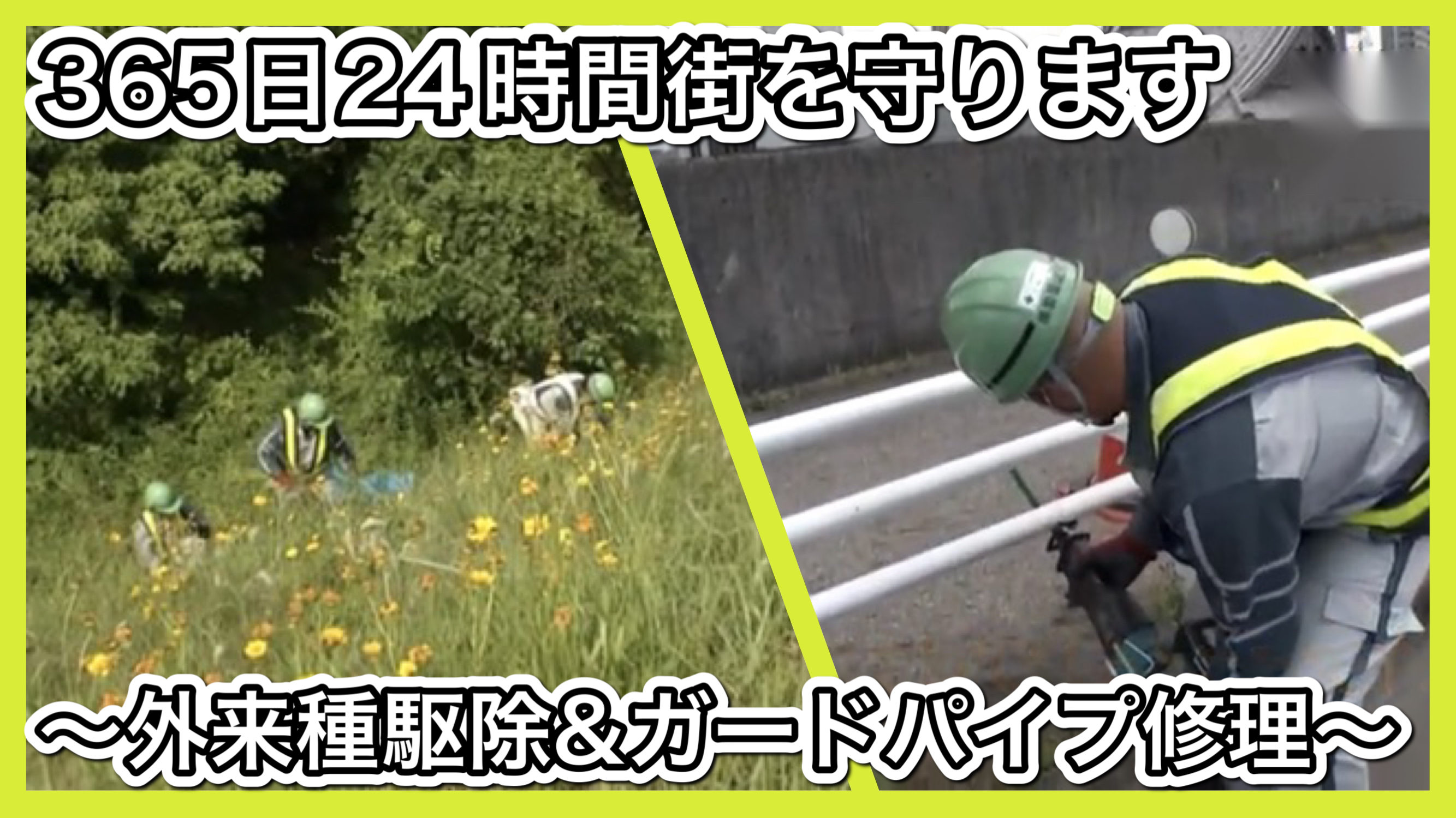 365日24時間街を守ります～外来種駆除＆ガードパイプ修理～