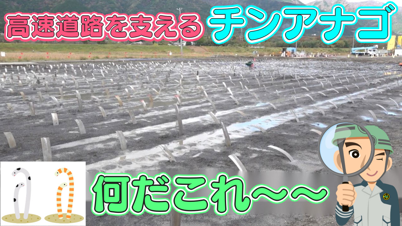 高速道路を支えるチンアナゴ何だこれ～～2024年2月