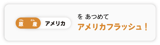 アメリカフラッシュ
