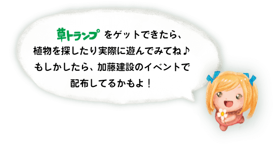 草トランプをゲットできたら植物を探したり実際に遊んでみてね