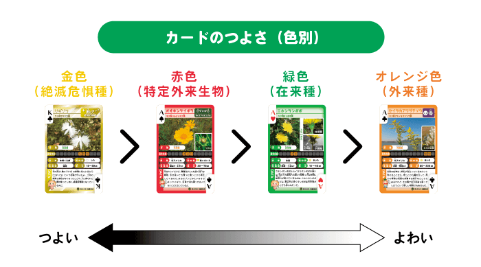 草ポーカーならではの役をご紹介01
