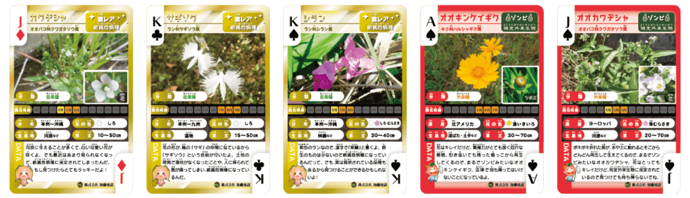 激ヤバフルハウス