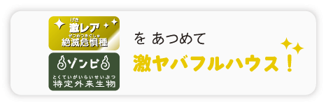 激ヤバフルハウス