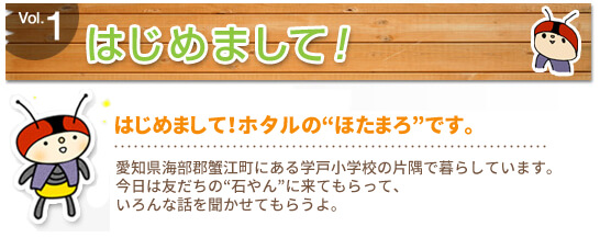 はじめましてホタルのほたまろです。