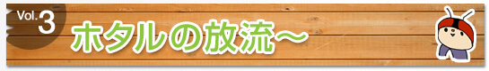 ホタルの放流