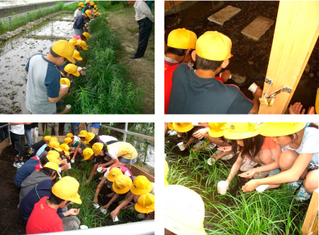 ホタルの放流の様子03