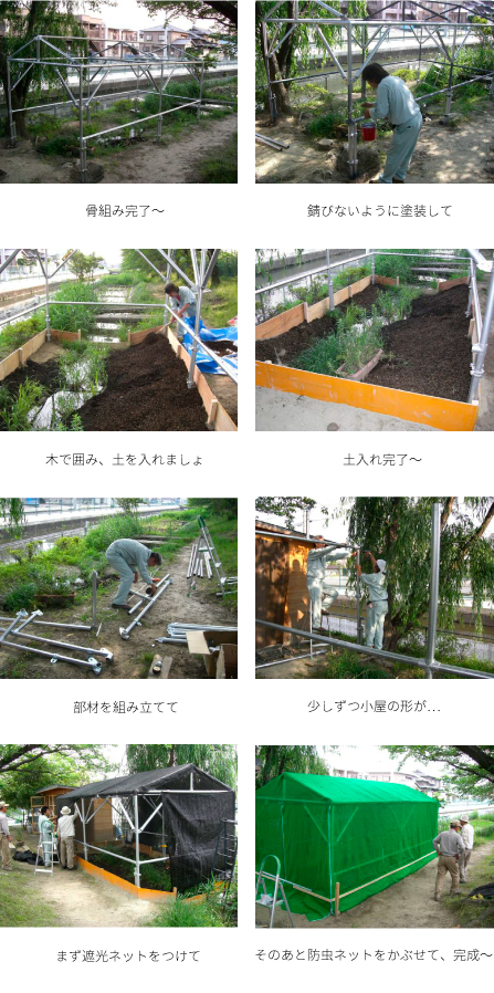 できた～。中はこんな感じだよ。