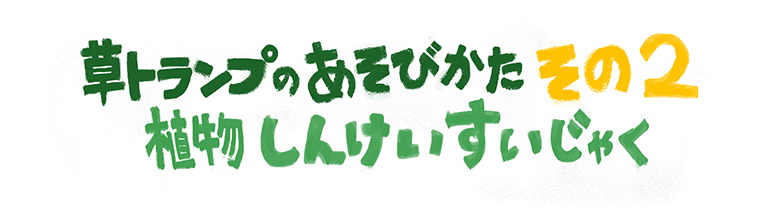 草トランプの遊び方その2植物しんけいすじゃく