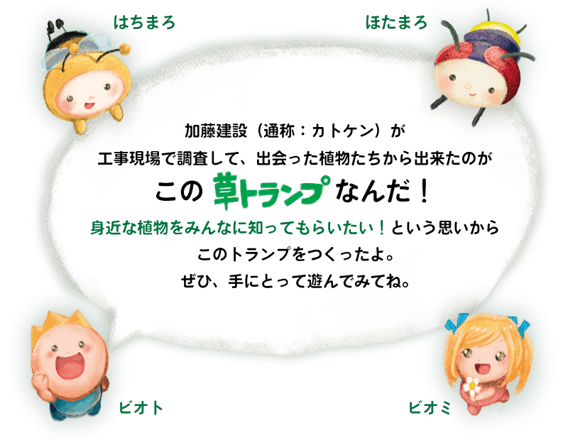 加藤建設が工事現場で調査して、出会った植物たちから出来たのがこの草トランプなんだ！身近な植物をみんなに知ってもらいたい！という思いからこのトランプをつくったよ。ぜひ手に取って遊んでみてね。