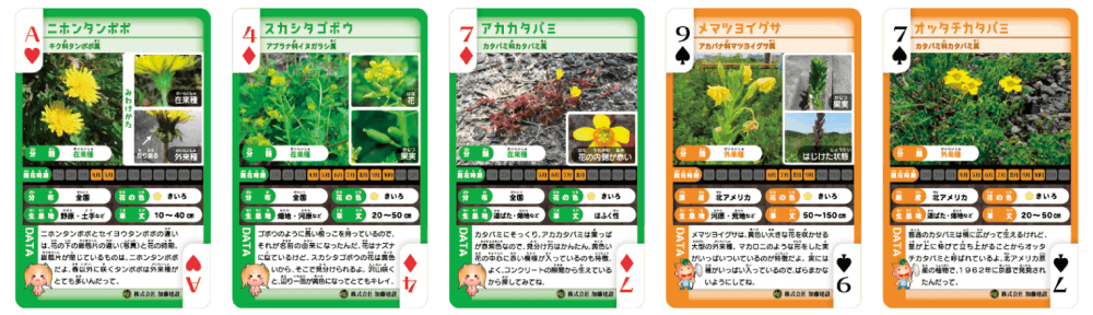 イエローフルハウス