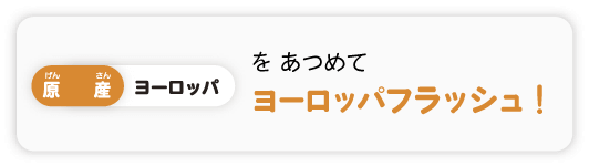 ヨーロッパフラッシュ