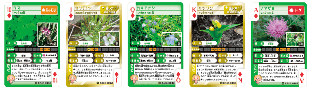 在来種激レアロイヤルストレートフラッシュ