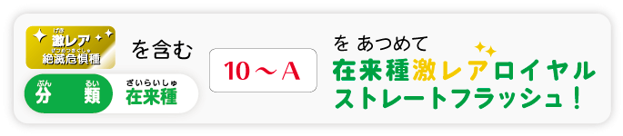 在来種激レアロイヤルストレートフラッシュ