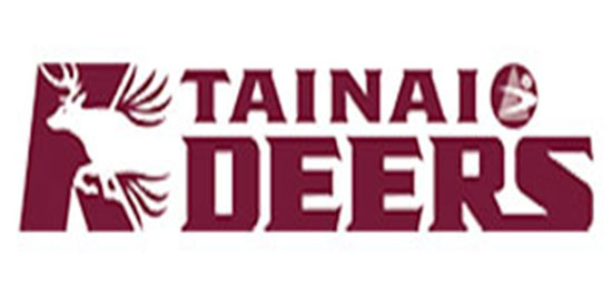 胎内DEERS公式サイト