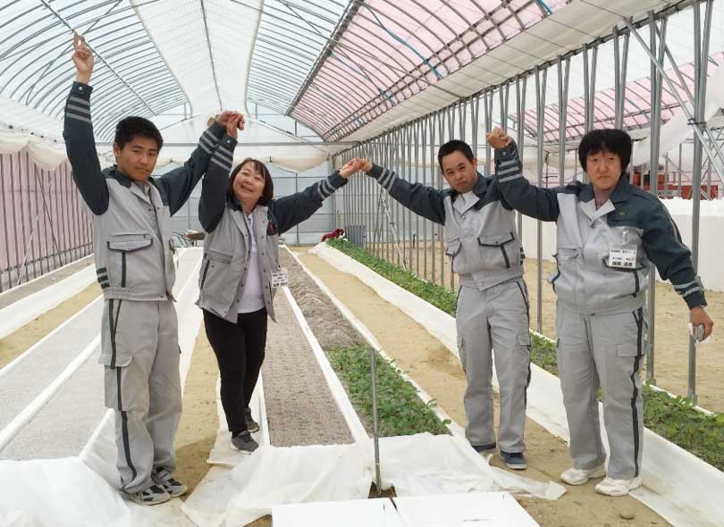 農場長（管理者）のもと3名のスタッフが当社の社員として毎日活き活きと野菜作りに励んでいます。