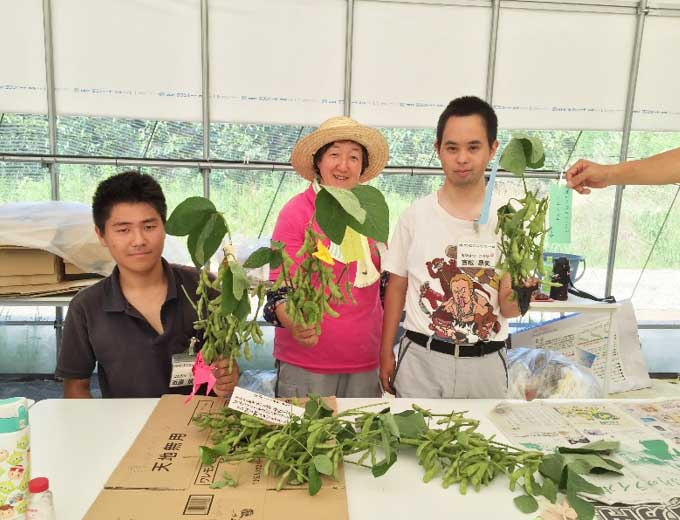 おいしい無農薬野菜を提供