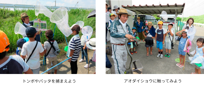 夏休み寺子屋教室　自然観察教室～ＮＰＯにこにこママネットワーク～の様子