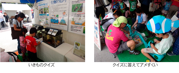 いきものクイズ