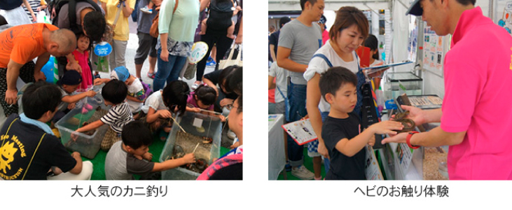 クイズに答えてアメすくい-12435